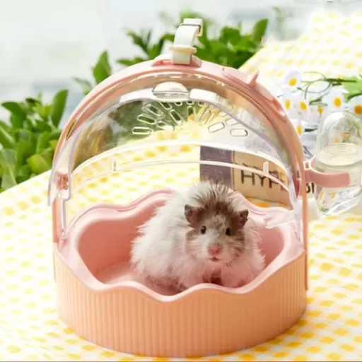 Small Pet & Reptile Supplies