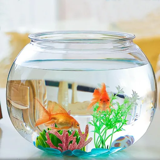 Aquarium & Fish Supplies